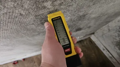 Expertise humidité Sorbiers